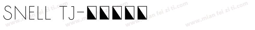 snell tj字体转换